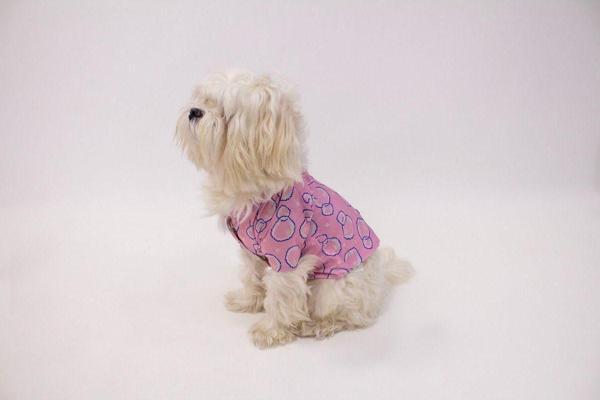 Patilinka Kedi - Köpek Baloncuklu Yağmurluk - Kıyafet - Image 1