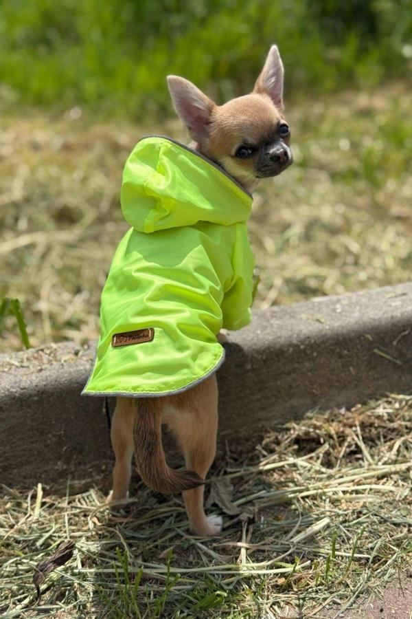 Patilinka Kedi - Köpek Kıyafeti Kapşonlu Yeşil Yağmurluk & Mont - Image 1