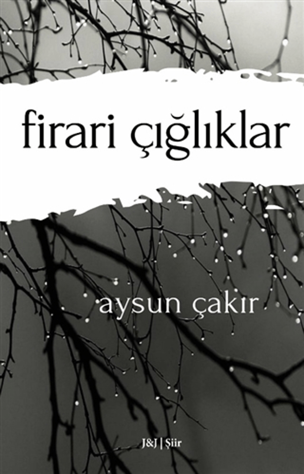 Firari Çığlıklar - Ajans J&J Yayınları - Image 1