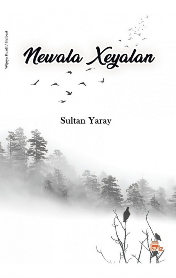 NEWALA XEYALAN - Payiz Yayınları - Image 1