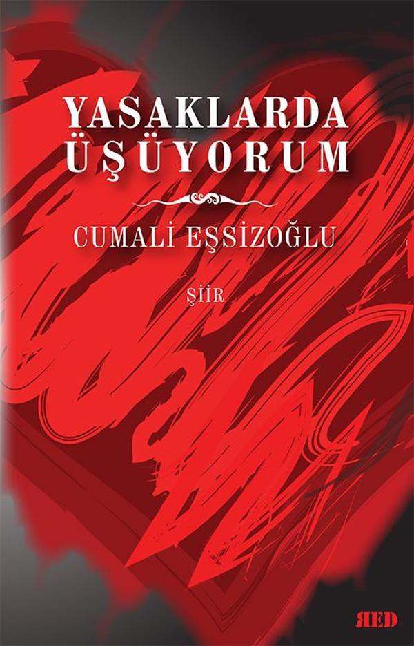YASAKLARDA ÜŞÜYORUM - Red Yayınları - Image 1