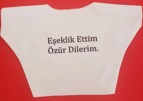 Eşeklik Ettim Yazılı Oyuncak Tişörtü - Image 1