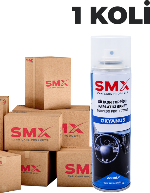 Silikon Torpido Parlatıcı Sprey 220 Ml (Okyanus) 24 Adet 1 Koli - Image 1
