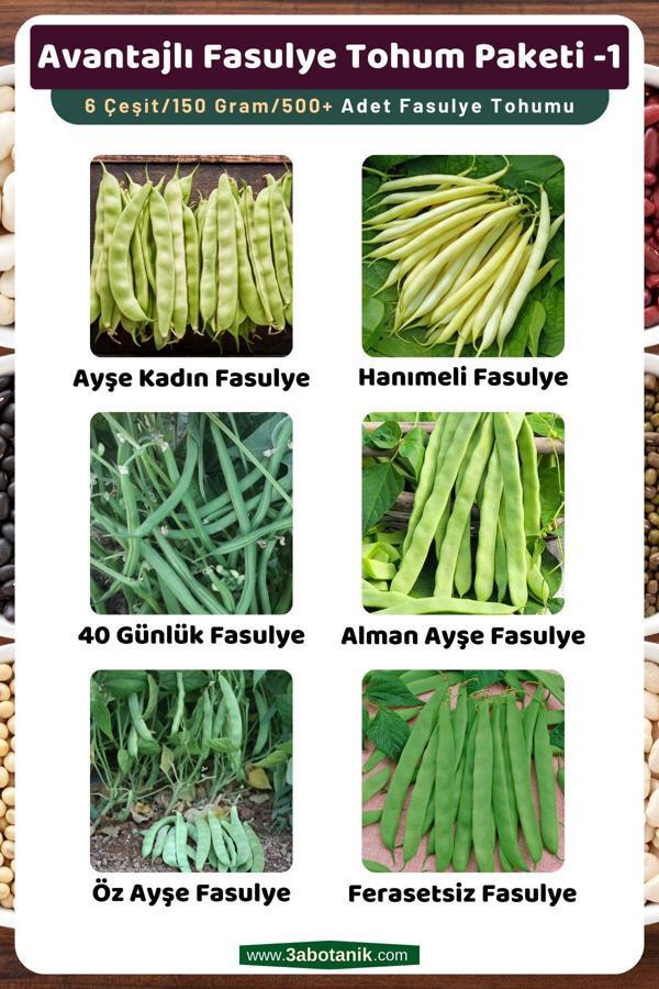 3A Botanik Avantajlı Fasulye Tohum Paketi-1, Toplam 6 Çeşit/150 Gram/Takribi 500 Adet Fasulye Tohumu - Image 1