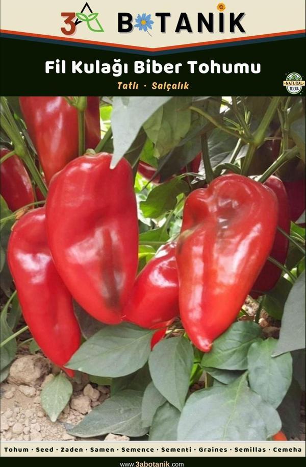 3A Botanik Fil Kulağı Biber Tohumu, Yerli Ve Sürdürülebilir Tohum, 5 Gram Biber Tohumu - Image 1
