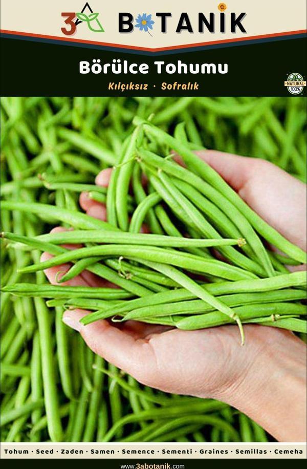 3A Botanik Börülce Tohumu, Yerli Ve Sürdürülebilir Tohum, 10 Gram Börülce Tohumu - Image 1