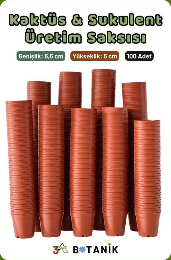 3A Botanik Kaktüs - Sukulent - Bitki Üretim Saksısı, 5,5 Cm, 100 Adet - Image 1