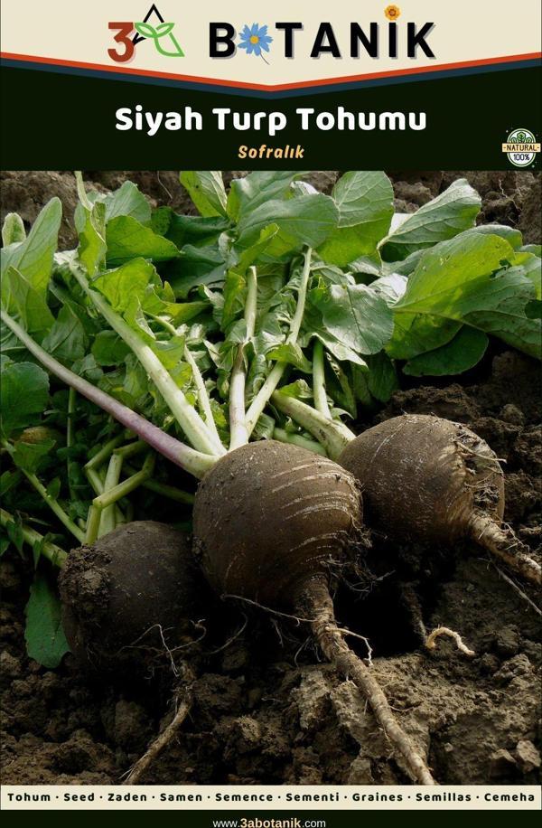 3A Botanik Siyah Turp Tohumu, Yerli Ve Sürdürülebilir Tohum, 5 Gram Turp Tohumu - Image 1