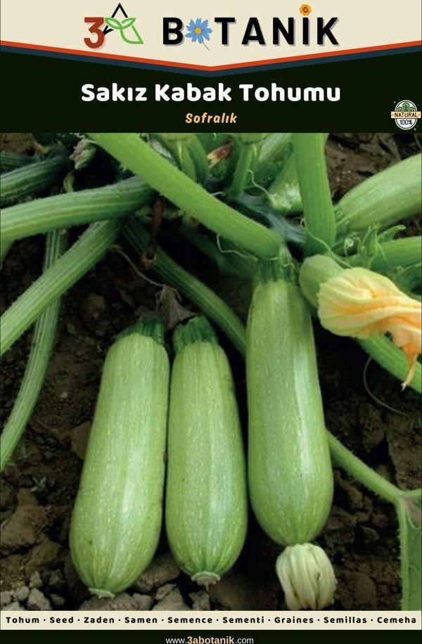 3A Botanik Beyaz Kabak Tohumu, Boğum Araları Kısa Yüksek Verimli Çeşit, 5 Gram/25-40 Adet Tohum - Image 1
