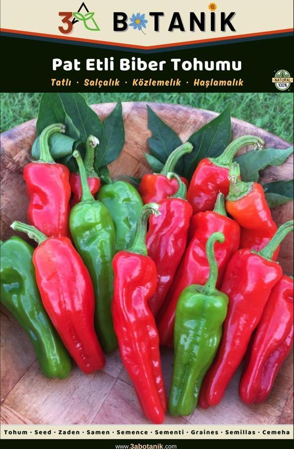 3A Botanik Pat Etli Biber Tohumu, Yerli Ve Sürdürülebilir Tohum, 5 Gram Biber Tohumu - Image 1