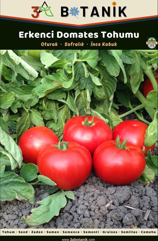 3A Botanik Erkenci Domates Tohumu, Yerli Ve Sürdürülebilir Tohum, 3 Gram Domates Tohumu - Image 1