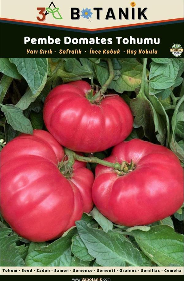 3A Botanik Pembe Domates Tohumu, Yerli Ve Sürdürülebilir Tohum, 1 Gram Domates Tohumu - Image 1