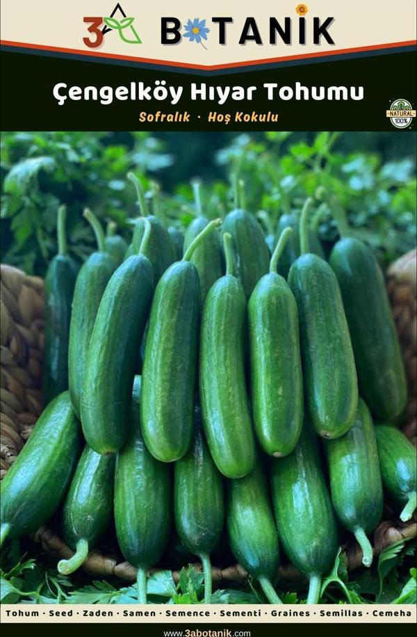 3A Botanik Çengelköy Hıyar (Salatalık) Tohumu, Yerli Ve Sürdürülebilir Tohum, 5 Gram Hıyar Tohumu - Image 1