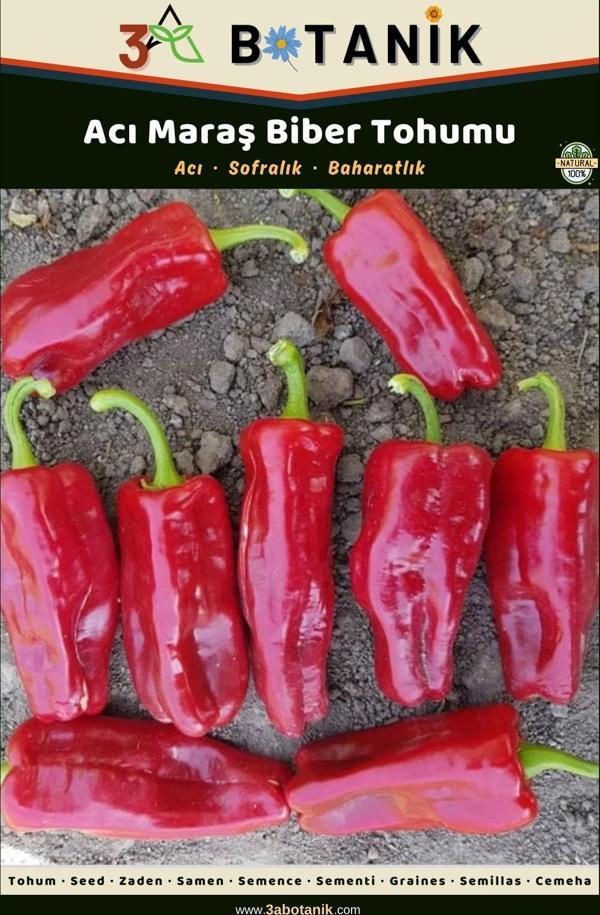 3A Botanik Acı Maraş Biber Tohumu, Yerli Ve Sürdürülebilir Tohum, 5 Gram Biber Tohumu - Image 1