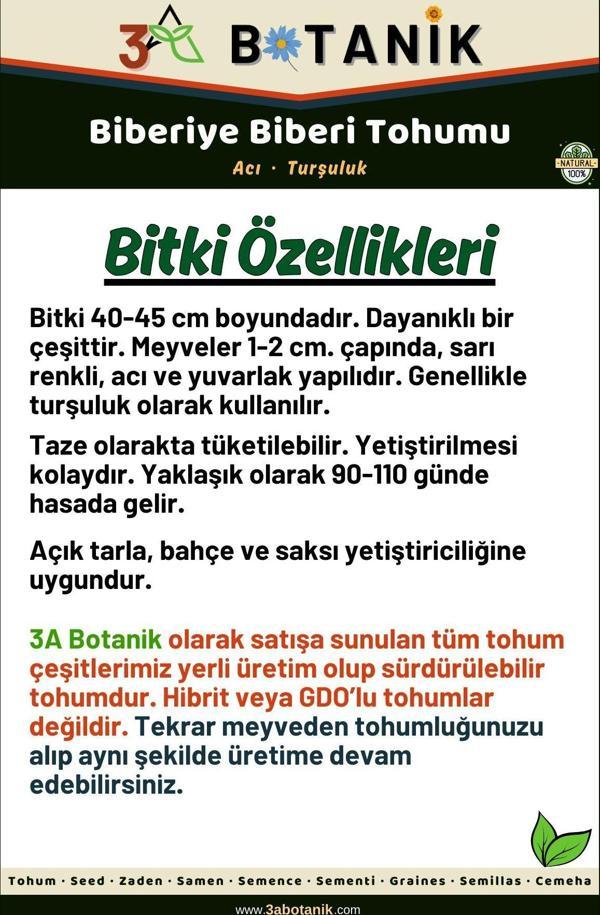 3A Botanik Biberiye Biber Tohumu, Yerli Ve Sürdürülebilir Tohum, 5 Gram Biber Tohumu - Image 1