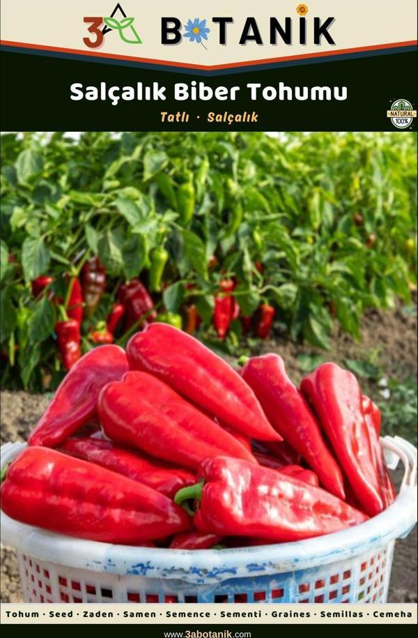 3A Botanik Salçalık Biber Tohumu, Yerli Ve Sürdürülebilir Tohum - Image 1