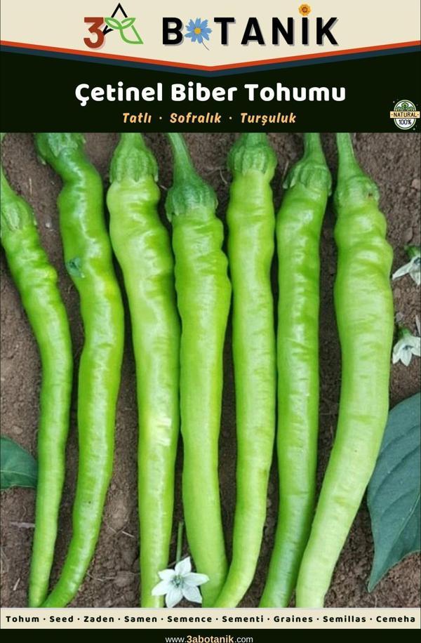 3A Botanik Çetinel Biber Tohumu, Yerli Ve Sürdürülebilir Tohum - Image 1