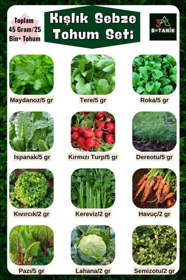 3A Botanik Kışlık Yeşillik Tohum Seti, 12 Çeşit Tohum, Toplam 45 Gram Takribi 25.000 Adet Yeşillik Sebze Tohumu - Image 1