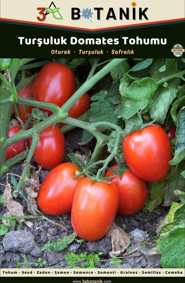 3A Botanik Turşuluk Domates Tohumu, Yerli Ve Sürdürülebilir Tohum - Image 1