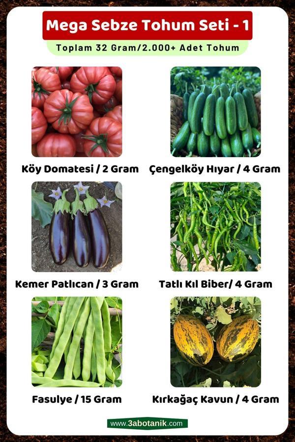 3A Botanik Mega Sebze Tohum Seti - 1, Toplam 32 Gram/2.000 Adet Sebze Tohumu - Image 1