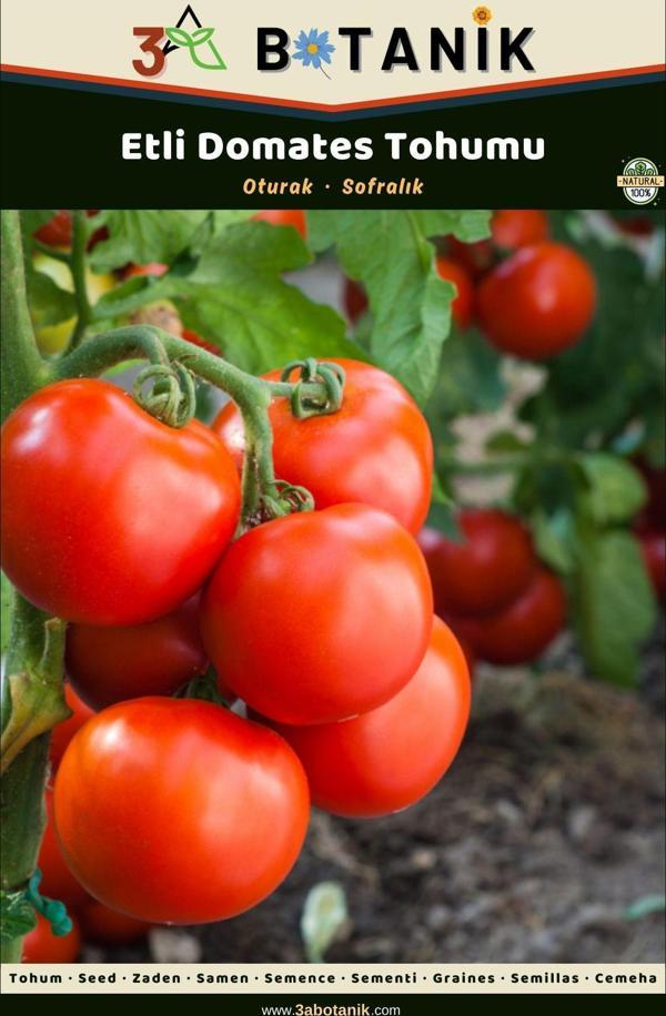 3A Botanik Etli Domates Tohumu, Yerli Ve Sürdürülebilir Tohum - Image 1