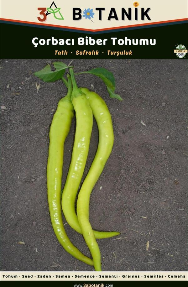 3A Botanik Çorbacı Biber Tohumu, Meyveleri Sarı Ve Tatlı Biber Çeşidi, 2 Gram/240-300 Adet Tohum - Image 1