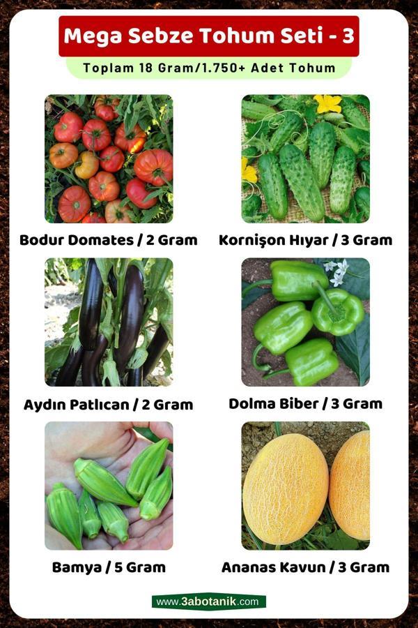 3A Botanik Mega Sebze Tohum Seti - 3, Toplam 18 Gram/1.750 Adet Sebze Tohumu - Image 1