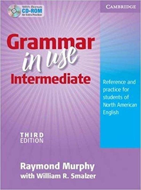 Grammar in Use Intermediate: Reference and Practice for Students of North American English - Producer1 - Image 1