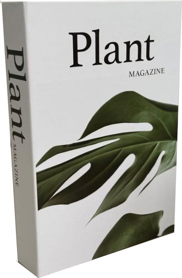 Biseystore2025-710 Plant - Image 1