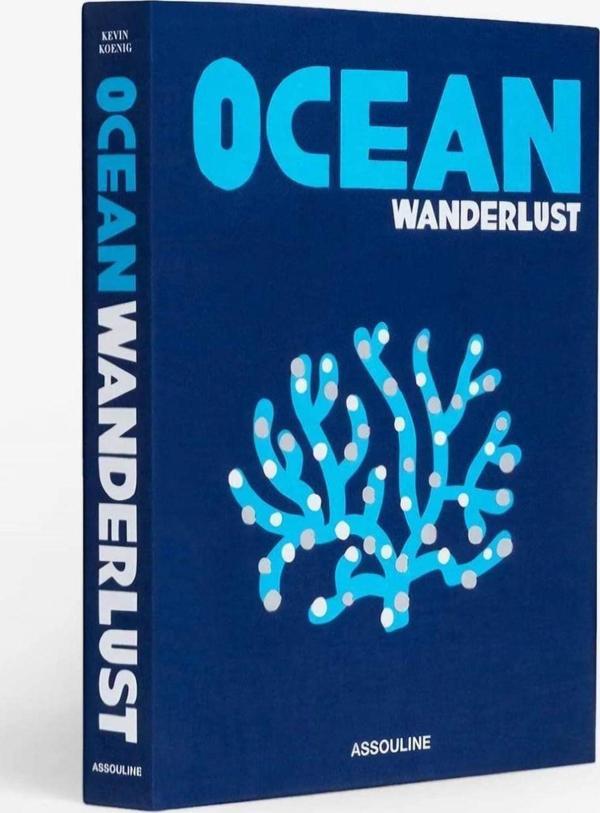 Biseystore2025 667 Ocean Wanderlust - Image 1