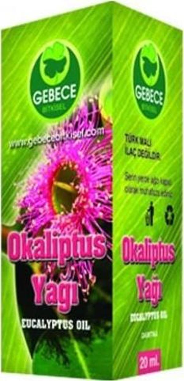 Gebece Okaliptüs Yağı 20 Ml - Image 1