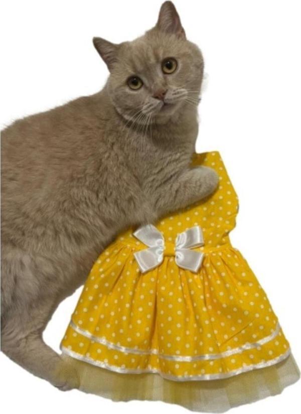 Gobo Sarı Puantiyeli Papyonlu Kedi Köpek Kıyafeti Elbisesi - Image 1