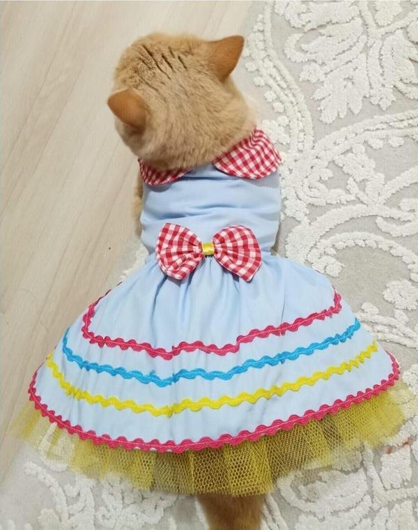 Gobo Rengarenk Festival Temalı Renkli Papyonlu Tüllü Kedi Köpek Kıyafeti Elbisesi - Image 1