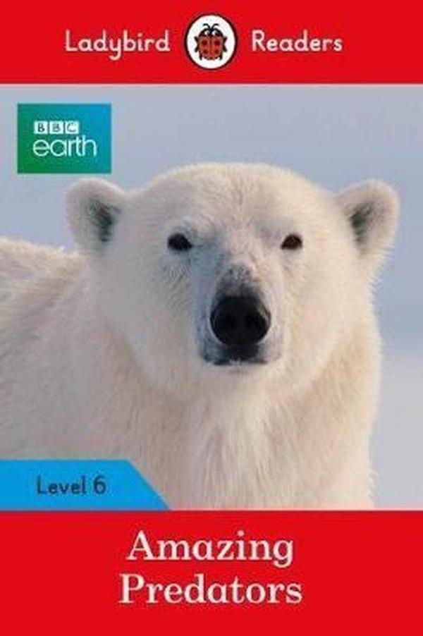Ladybird Readers Level 6 BBC Earth Amazing Predators - Penguin - Image 1