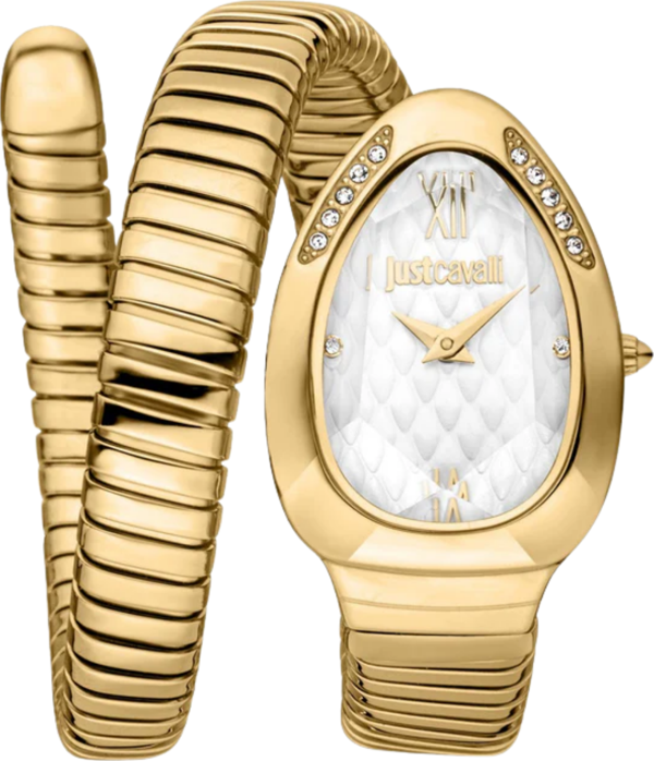 JUST CAVALLI JC1L223M0025Kadın Kol Saati - Image 1
