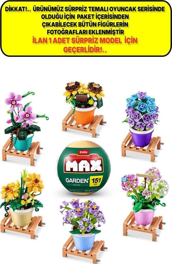 Toyfest Max Saksı Bitkileri Sürpriz Paket - 1 Adet Lütfen Dikkat 1 Adet Sürpriz Top Paket Gönderiliyor!. - Image 1