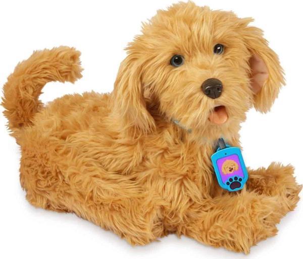 Toyfest My Fuzzie Friends Sevimli Labrador Moji 18207 - Image 1