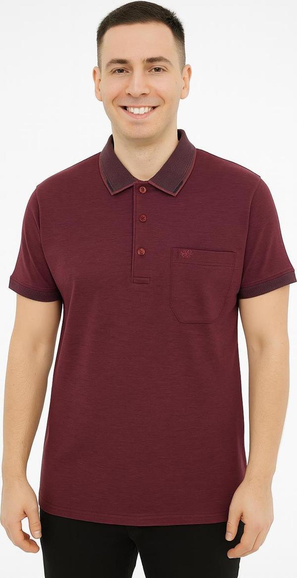 Simenti Yakalı Klasik Fit Kısa Kol Erkek Tişört 7370 - Image 1