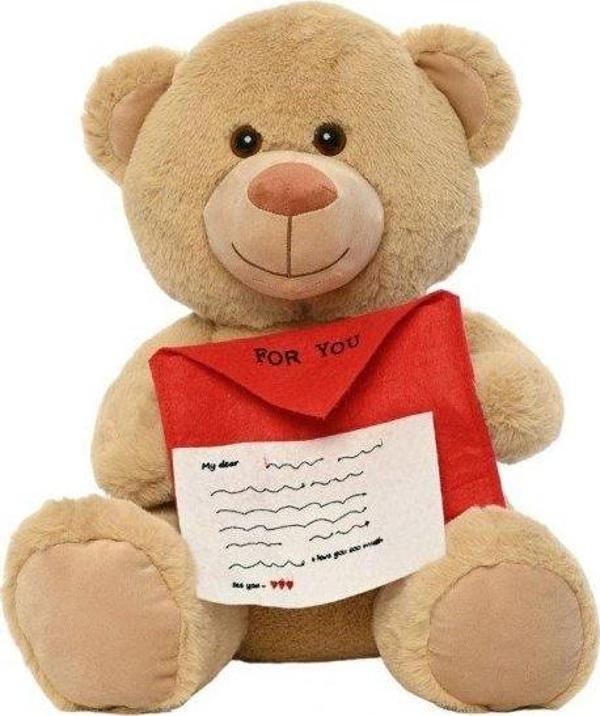 Peluş Mektuplu Ayıcık 45 Cm - Mavi Su Dünyası - Image 1