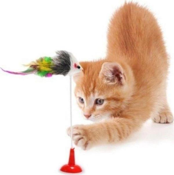 Tedaks 2Li Vantuzlu Fareli Tüylü Hareketli Çanlı Ve Esneyen Eğlenceli Peluş Kedi Oyuncağı - Image 1