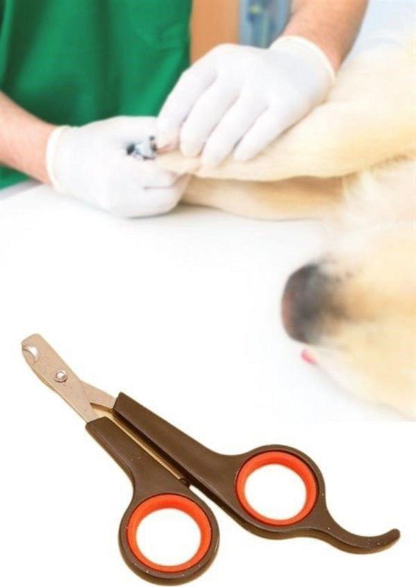 Tedaks Küçük Çelik Uçlu Kedi Köpek Evcil Hayvan Tırnak Makası Pati Bakım Aleti Ergonomik Kaymaz Sap - Image 1