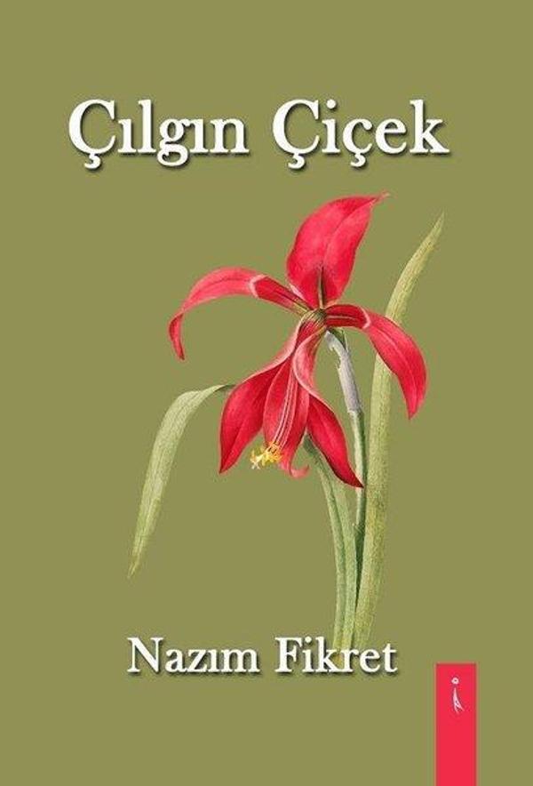 İkinci Adam Yayınları Çılgın Çiçek - İkinci Adam Yayınları - Image 1