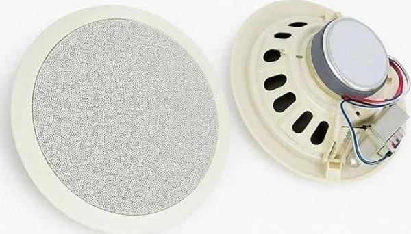 Dexun D-20T 100 Volt 20 CM Trafolu Alçıpan Hoparlör - Image 1