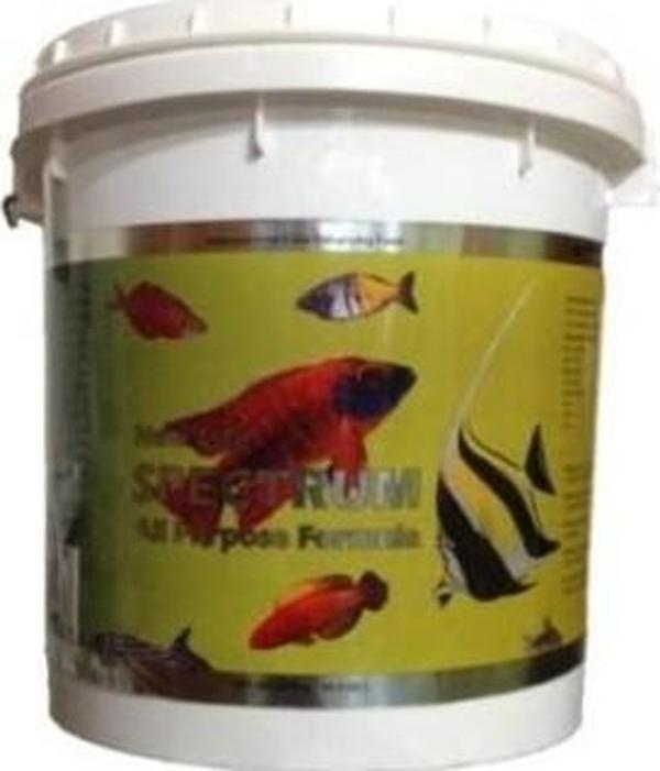 New Life Spectrum All Purpose Formula 50gr Açık - Image 1
