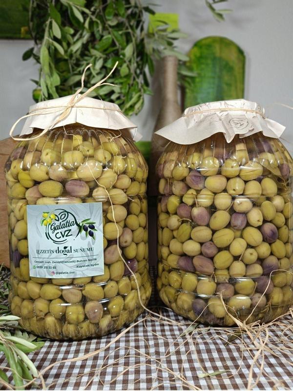 Galatia Cvz Aydın Yöresi Mudanya Cinsi Sofralık Tatlandırılmış Çizik Zeytin (3+3 Kg) - Image 1