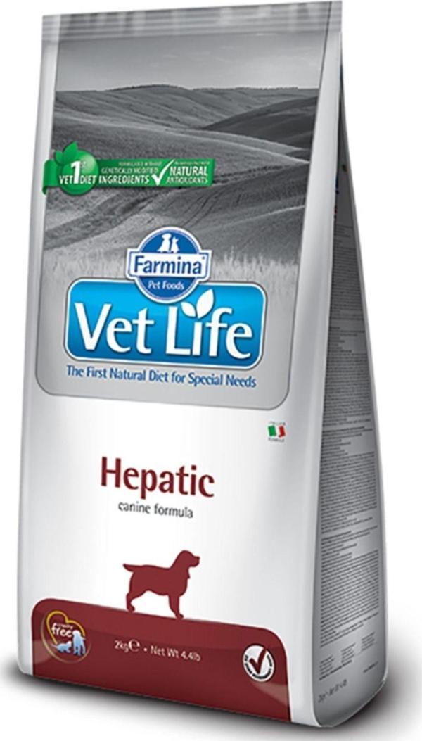 Vet Life Hepatic Köpek 2Kg - Image 1