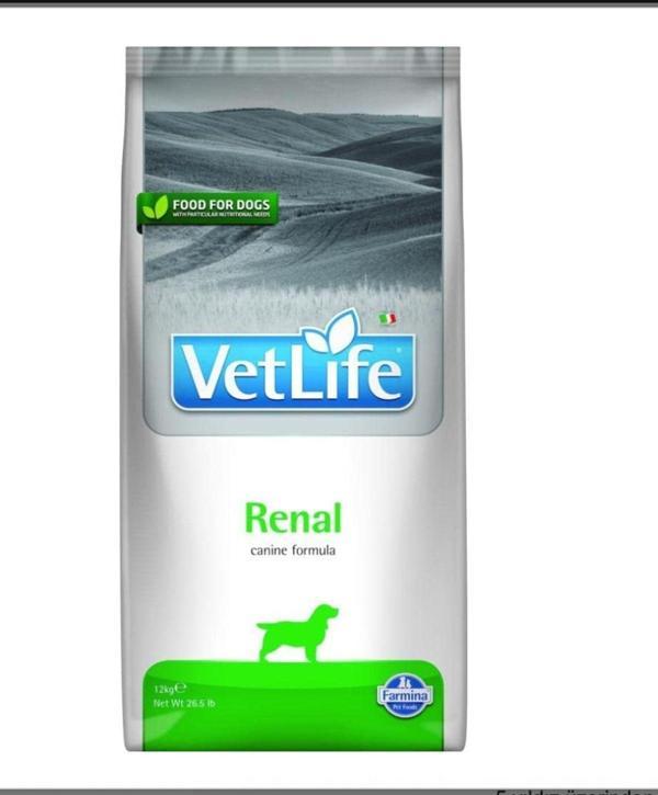 Vet Life Renal Köpek 12Kg - Image 1