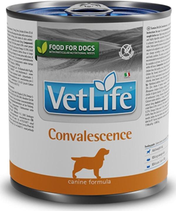 Vet Life Convalescence Dog Hasta Köpek Maması 300Gr - Image 1