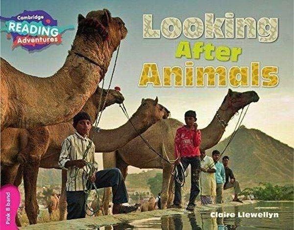 Pink B Band- Looking After Animals Reading Adventures - Cambridge University Press - Image 1