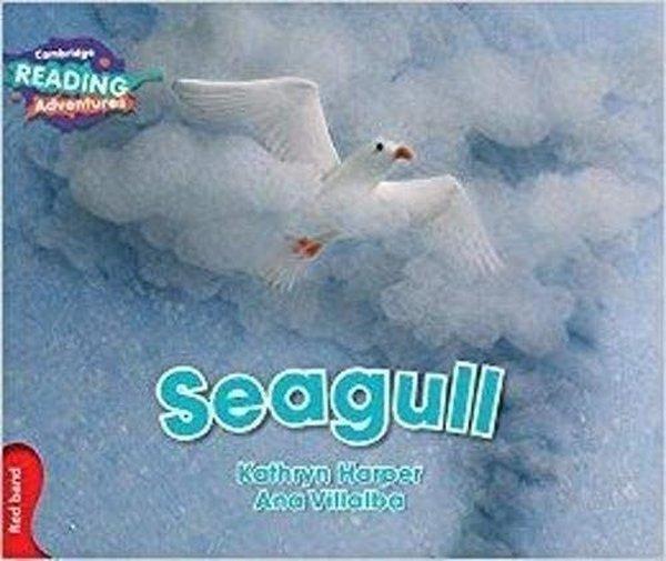 Red Band- Seagull Reading Adventures - Cambridge University Press - Image 1